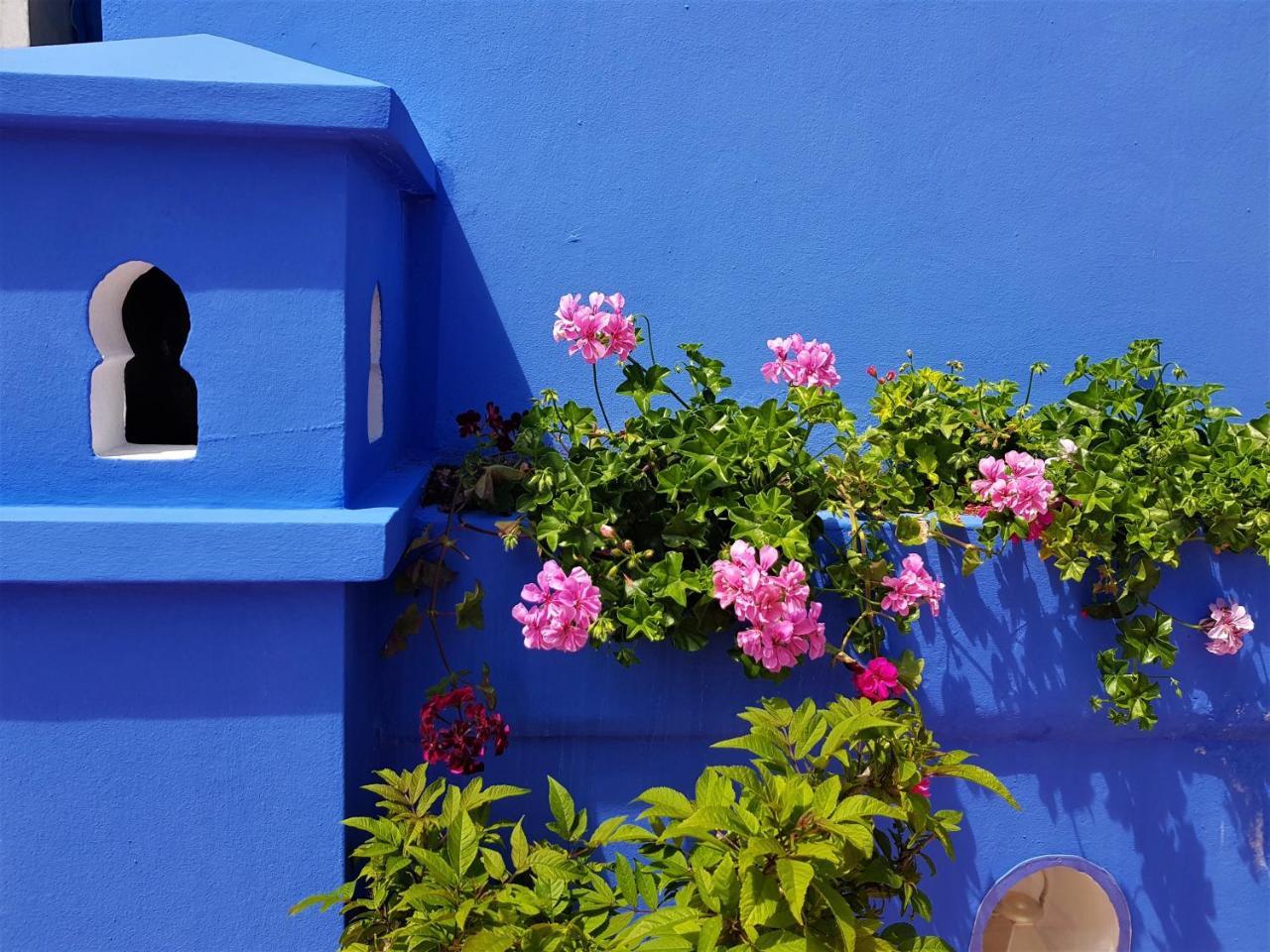 Dar Manara - Medina D'Asilah Hotell Exteriör bild